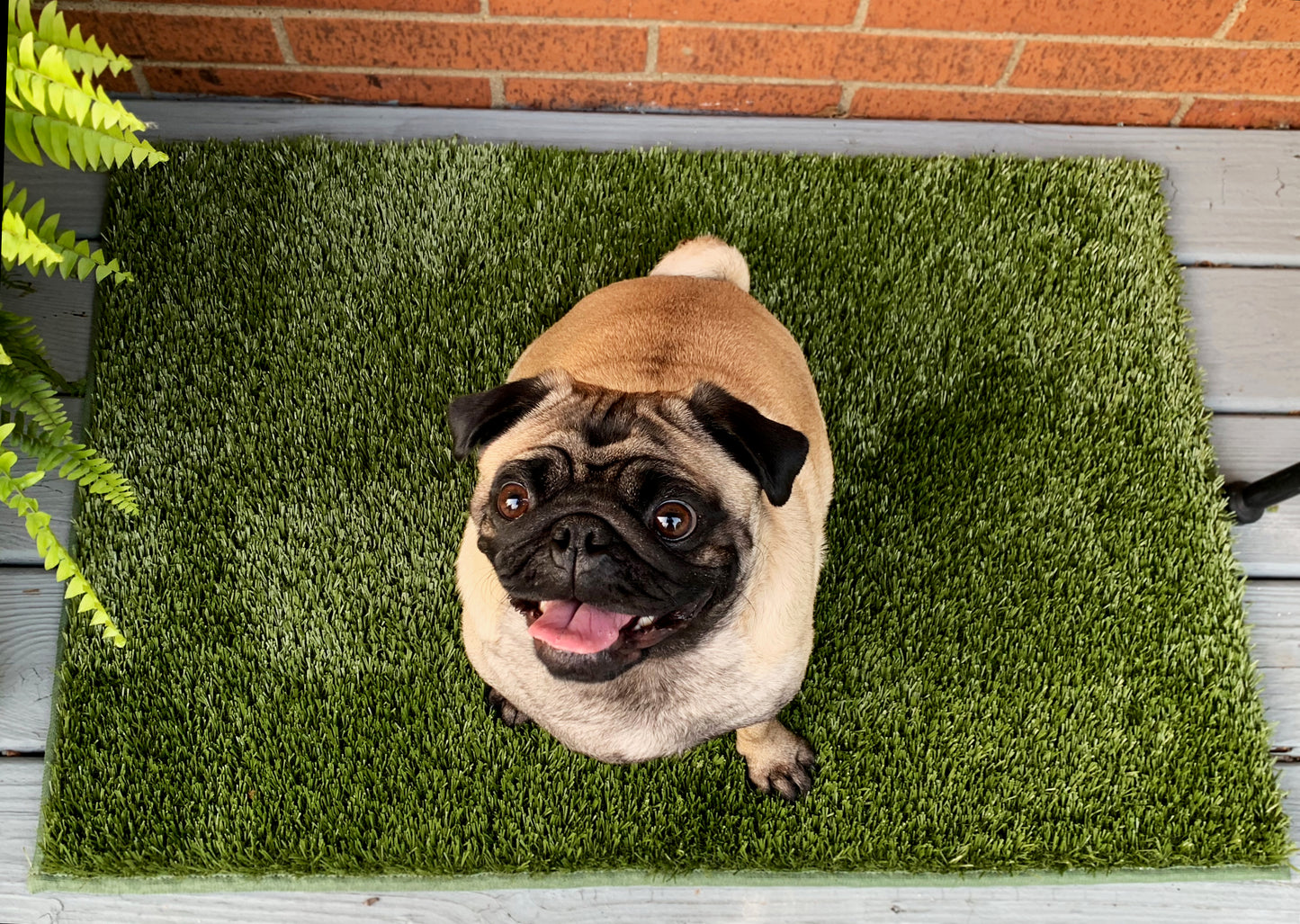 K9Grass Mat with Bound Edges