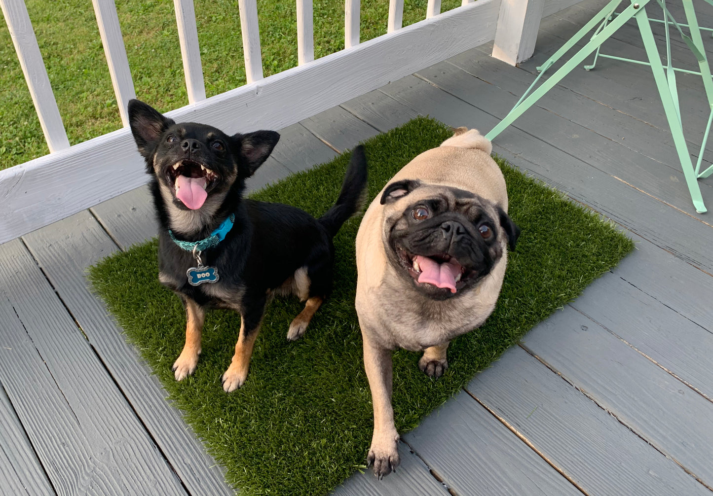 K9Grass® Mats