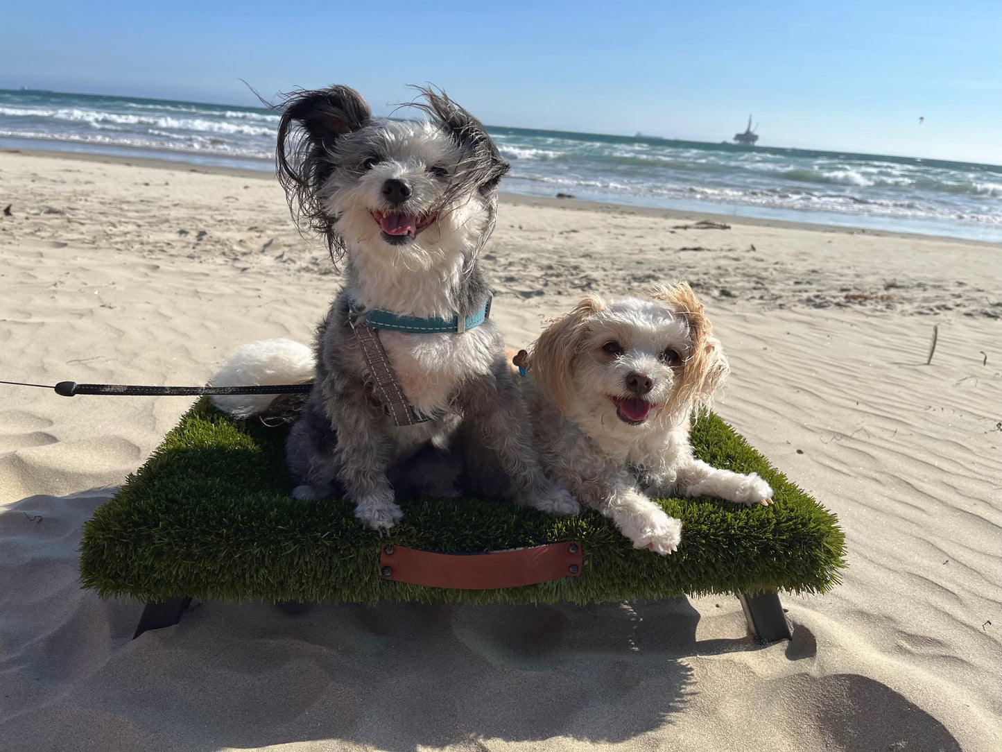 K9Hammock by ForeverLawn