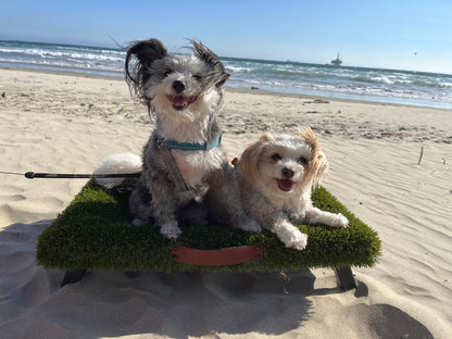 K9Hammock by ForeverLawn