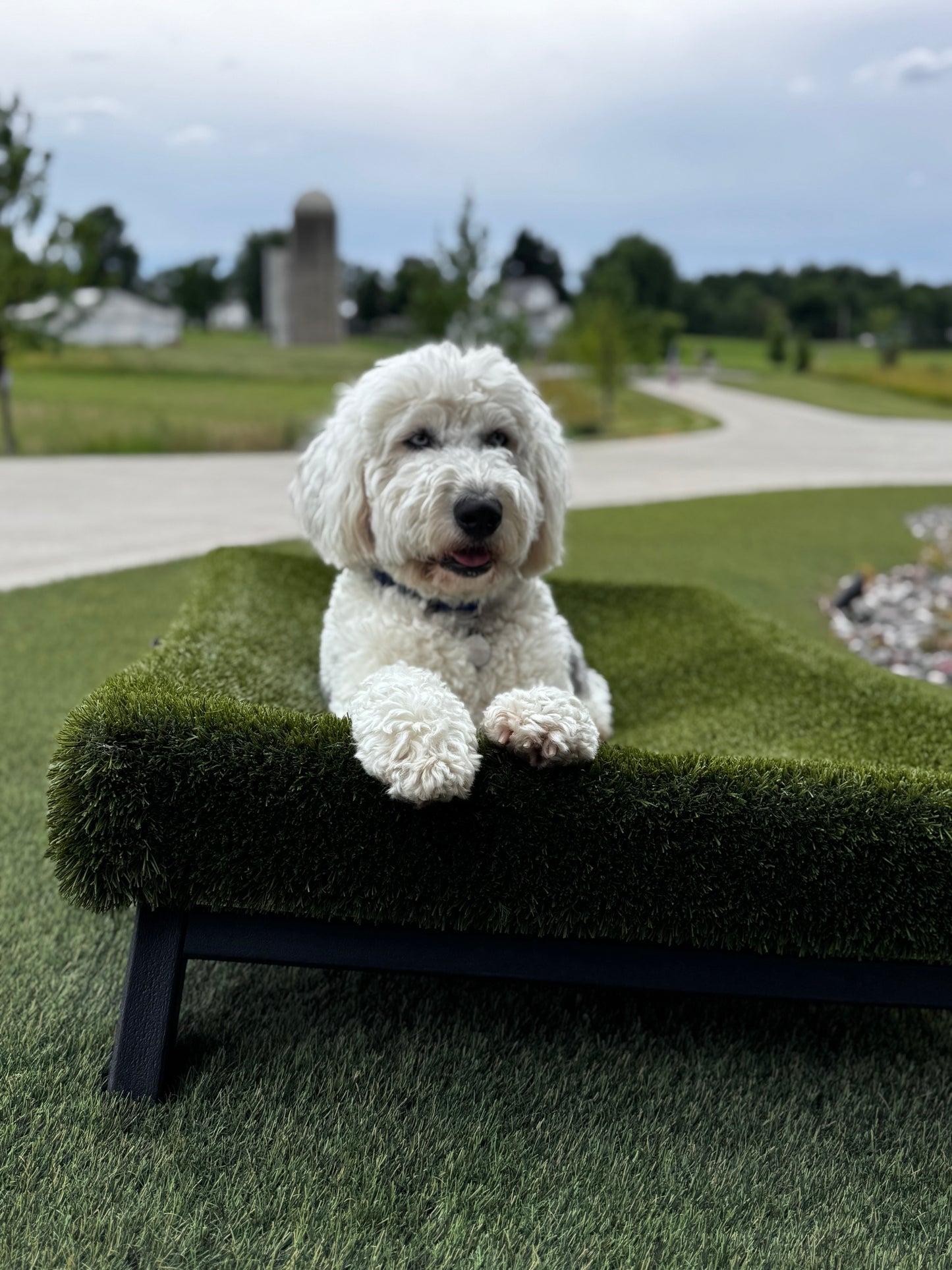 K9Hammock by ForeverLawn