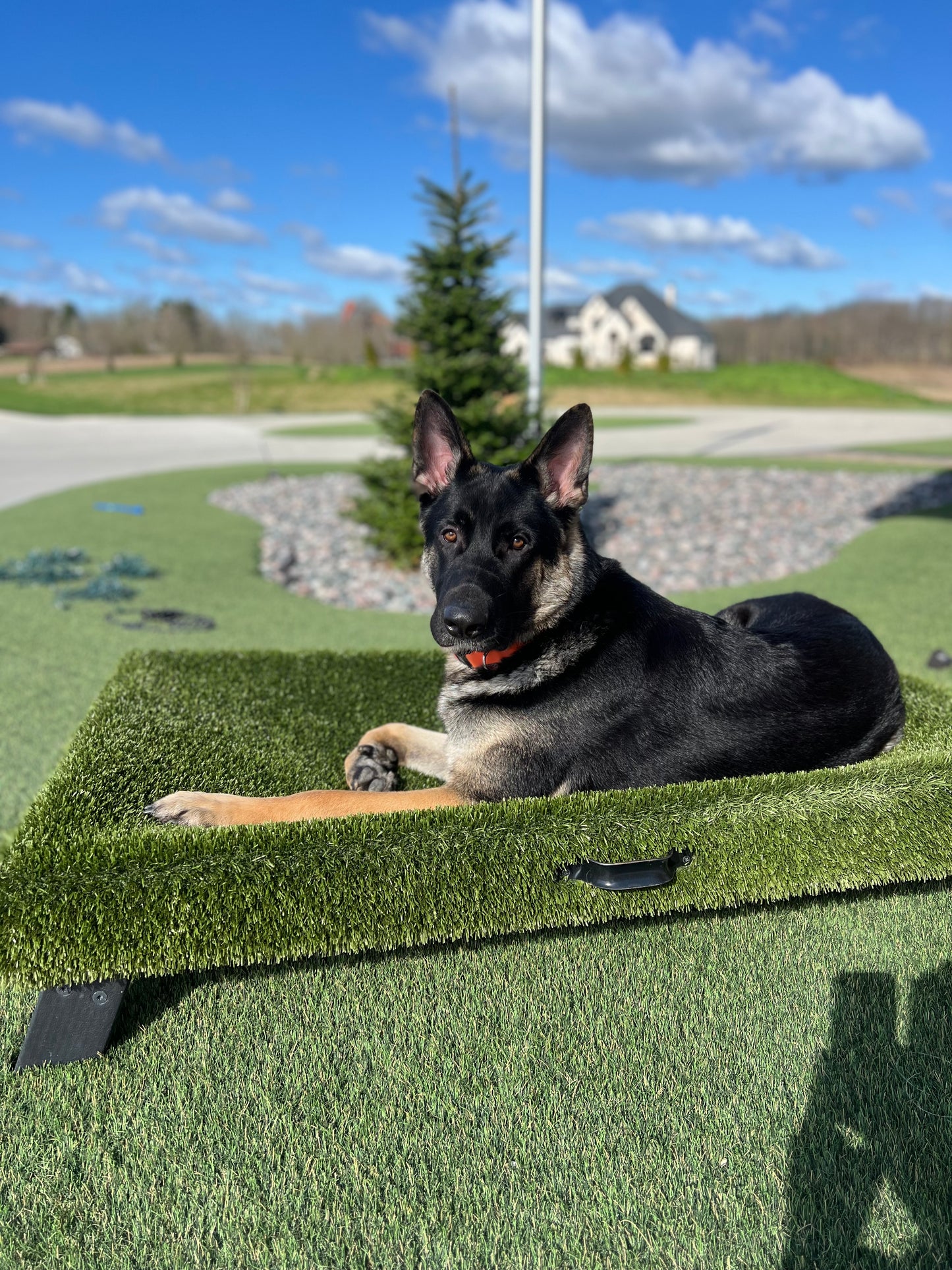 K9Hammock by ForeverLawn