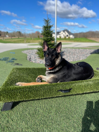 K9Hammock by ForeverLawn