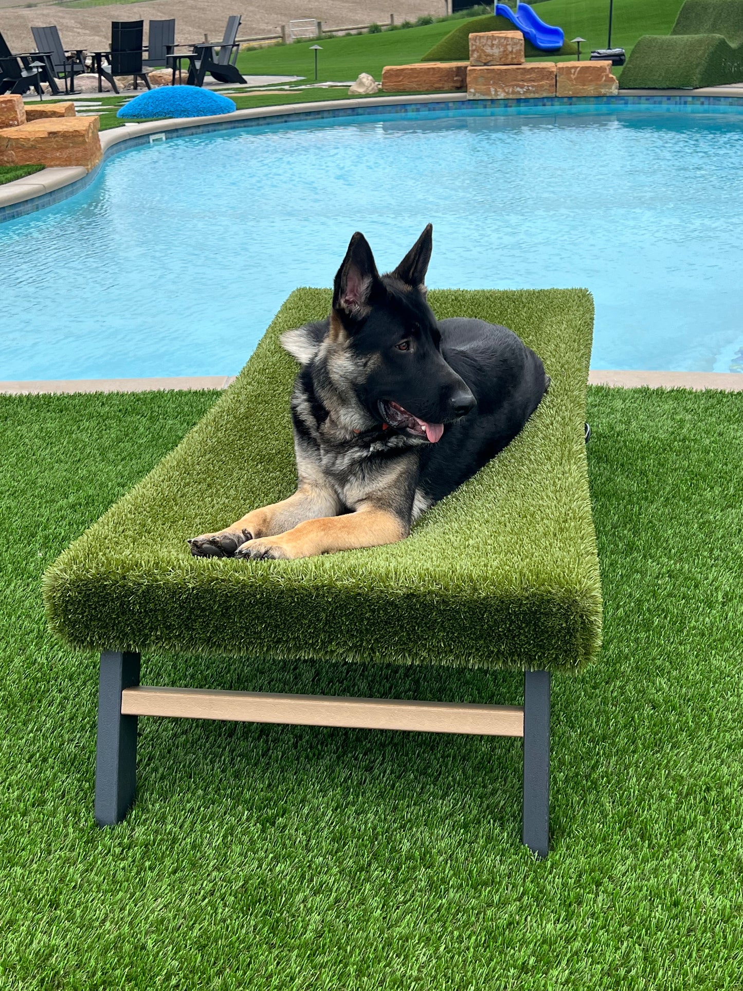 K9Hammock by ForeverLawn