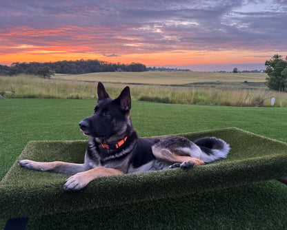 K9Hammock by ForeverLawn