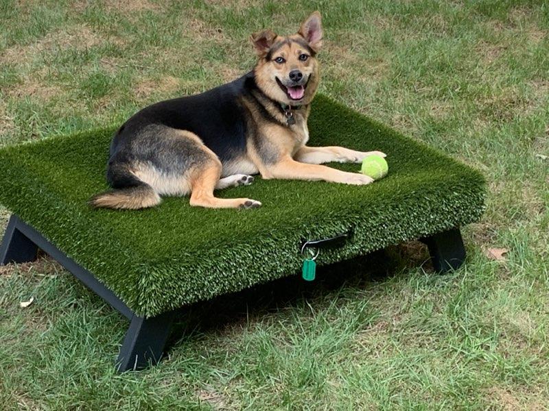 K9Hammock by ForeverLawn