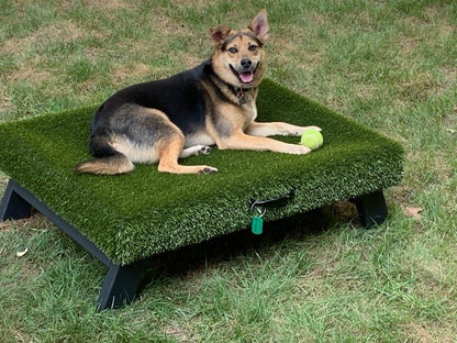 K9Hammock by ForeverLawn