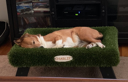 K9Hammock by ForeverLawn