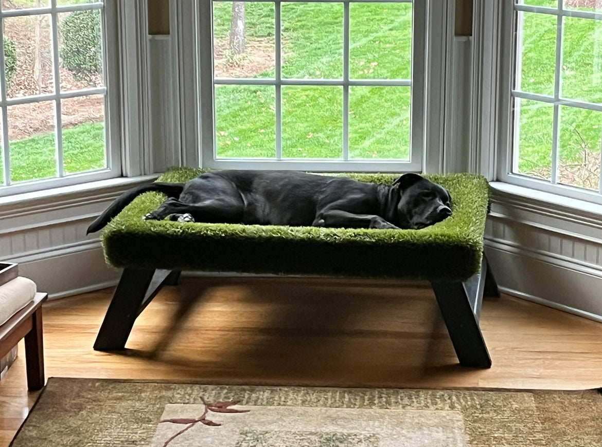 K9Hammock by ForeverLawn