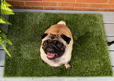 K9Grass Mat with Bound Edges