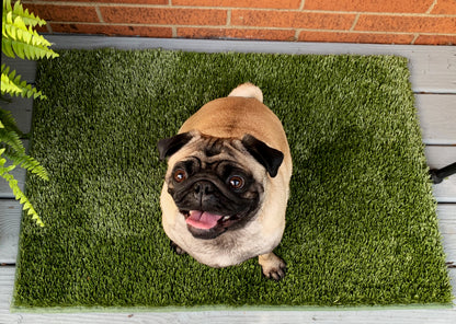K9Grass Mat with Bound Edges